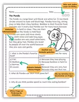 Vorschau - Arbeitsblätter - Asian Animals Nonfiction Reading Passages with Questions - Seite 1