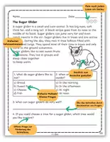 Vorschau - Arbeitsblätter - Australian Animals Nonfiction Reading Passages with Questions - Seite 1