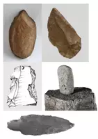 anteprima - Materiale di supporto/inclusione - HOMO HABILIS - Pagina 1
