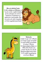 Vorschau - Arbeitsblätter - Tierkartei mit Abschreibheftchen - GIRAFFE - Seite 3