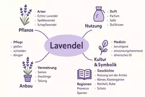 Vorschau - Arbeitsblätter - Arbeitsblätter zum Thema "Lavendel" + Lösung & MP3 + Mindmap + Infografik - Seite 3