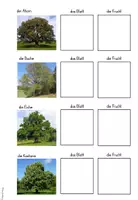 Vorschau - Arbeitsblätter - Bäume des Waldes: Materialpaket - Seite 3