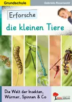 Vorschau - Arbeitsblätter - Erforsche die kleinen Tiere | Insekten, Bienen, Schmetterlinge, Käfer, Spinnen, Regenwürmer, Schnecken, Ameisen | Sachunterricht Grundschule Klasse 1-4 Grundschrift Lösungen - Deckblatt