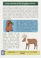 Vorschau - Arbeitsblätter - Animals of the Canadian Forests: Englischunterricht - Seite 2