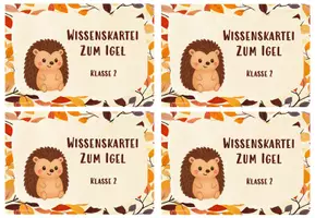 Vorschau - Arbeitsblätter - Der Igel - Wissenskartei und Steckbrief - Klasse 2 - Seite 3