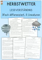 Vorschau - Arbeitsblätter - Das Herbstwetter - Leseverständnis, differenziert, Klasse 3, 4 - Deckblatt