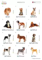 Vorschau - Fördermaterial/Inklusion - DaZ-Nomenkarten - Tiere - 3 Hunderassen - Seite 2