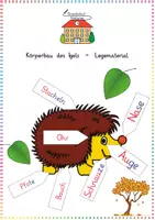 Vorschau - Anderer Materialtyp - Körperbau des Igels - Legematerial - Deckblatt
