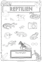 Vorschau - Unterrichtsreihen - Reptilien - Selbstlernheft/Stationen - Seite 1