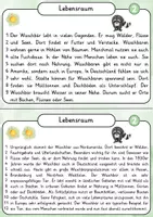 Vorschau - Stationenlernen - Mini Lernwerkstatt: Waschbär | 10 Wissenskarten – 30 Quizfragen – 8 offene Fragen – 3 kreative Schreibanlässe (zweifach differenziert) - Seite 3