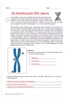 Vorschau - Arbeitsblätter - Die Verpackung der DNA - Seite 1