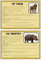 Vorschau - Merkblätter - Afrikas Tierwelt - Steckbriefe Infokarten - Seite 2