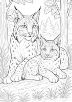 Vorschau - Mal- und Bastelvorlagen - Ausmalbilder - Luchs - 10 Vorlagen (1) - Seite 2