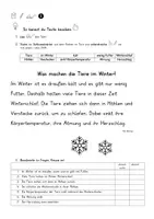 Vorschau - Unterrichtsreihen - Texte knacken. Thema: Tiere im Winter. Lesen und Schlüsselwörter markieren. Leseverständnis - Seite 2