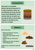 Vorschau - Bildkarten - Wissenskarteien Boden/Bodenbeschaffenheit - Seite 2