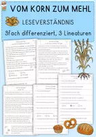 Vorschau - Arbeitsblätter - Vom Korn zum Mehl, Leseverständnis, Klasse 2, 3, 4 - Deckblatt