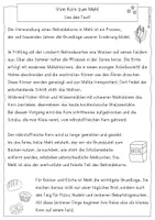 Vorschau - Arbeitsblätter - Vom Korn zum Mehl, Leseverständnis, Klasse 2, 3, 4 - Seite 3