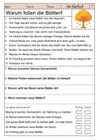 Vorschau - Arbeitsblätter - Lesen & Verstehen - Im Herbst (Klasse 1-2) - Seite 1