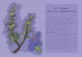 Vorschau - Mal- und Bastelvorlagen - Libro Infantil para explorar las Plantas Medicinales De La Huerta - Seite 1