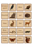 Vorschau - Stationenlernen - Waldtiere - Merk-es-dir! in Druck- und Grundschrift - Seite 1