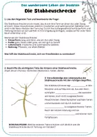 Vorschau - Arbeitsblätter - Die Stabheuschrecke – Arbeitsblatt - Deckblatt