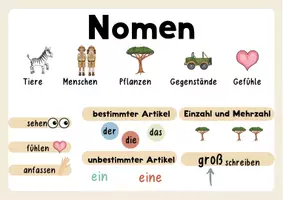 Vorschau - Arbeitsblätter - Nomen | Einführung und Wiederholung | Safari - Seite 2