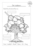 Vorschau - Arbeitsblätter - Bäume Baum Wald kostenlos - Seite 3
