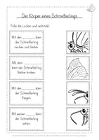 Vorschau - Arbeitsblätter - Schmetterling Anpassung kostenlos - Seite 2