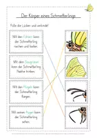 Vorschau - Arbeitsblätter - Schmetterling Anpassung kostenlos - Seite 3