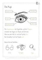 Vorschau - Arbeitsblätter - Auge Fünf Sinne kostenlos - Seite 3