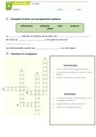 Vista previa - Evaluación - Examen de Naturales, 6º, tema 4 La salud - página 1