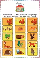 Vorschau - Präsentationen/Tafelbilder - Eichhörnchen - Was frisst das Eichhörnchen was macht es krank, wer sind seine Feinde? - Deckblatt
