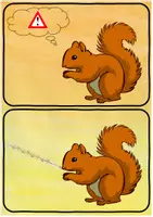 Vorschau - Präsentationen/Tafelbilder - Eichhörnchen - Was frisst das Eichhörnchen was macht es krank, wer sind seine Feinde? - Seite 2