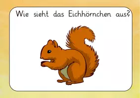 Vorschau - Unterrichtsreihen - Reihentransparenz Eichhörnchen - Seite 1