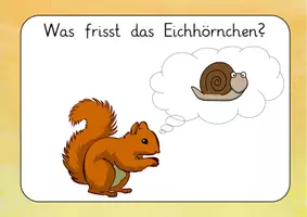 Vorschau - Unterrichtsreihen - Reihentransparenz Eichhörnchen - Seite 2