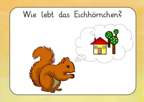Vorschau - Unterrichtsreihen - Reihentransparenz Eichhörnchen - Seite 3