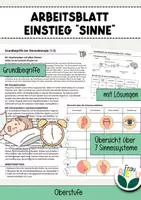 Vorschau - Arbeitsblätter - Arbeitsblatt Einstieg Sinnesbiologie Grundbegriffe Sinne Oberstufe - Deckblatt