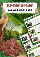 Vorschau - Bildkarten - Affenarten Lesetexte: Schimpansen, Gorillas, Orang-Utans Paviane Klammeraffen & Gibbons - Deckblatt