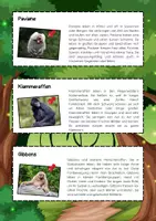 Vorschau - Bildkarten - Affenarten Lesetexte: Schimpansen, Gorillas, Orang-Utans Paviane Klammeraffen & Gibbons - Seite 2