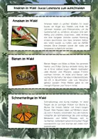 Vorschau - Bildkarten - Insekten im Wald Lesetexte: Ameisen, Bienen, Käfer, Schmetterlinge - Seite 1