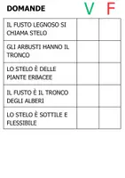 anteprima - Materiale di supporto/inclusione - Materiale sulle PIANTE - Pagina 1