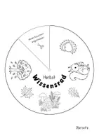 Vorschau - Mal- und Bastelvorlagen - Wissensrad - Im Herbst (Klasse 2-3) - Seite 3