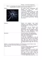 Vorschau - Merkblätter - Operatoren-Hilfe für das Fach Biologie - Seite 1
