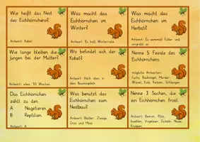 Vorschau - Spiele - Eichhörnchen - Quiz: Würfelspiel – Wiederholung & Festigung im Sachunterricht (Grundschule) - Seite 3