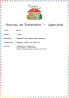 Vorschau - Anderer Materialtyp - Körperbau Eichhörnchen - Legematerial - Seite 1