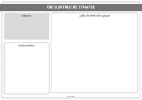 Vorschau - Mal- und Bastelvorlagen - Highway to Brain - chemische und elektrische Synapsen - Seite 1