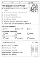Vorschau - Arbeitsblätter - Materialpaket: Lesen & Verstehen - Der Wald (Klasse 1-5) - Seite 3