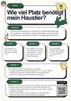 Vorschau - Arbeitsblätter - Flächenberechnung: Wie viel Platz benötigt mein Haustier? - Seite 1