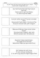 Vorschau - Arbeitsblätter - Meerestiere, Lesen & Kleben, Sätze zu Bildern schreiben, Klasse 1, 2 - Seite 2