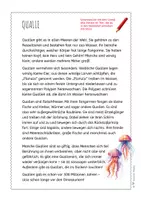 Vorschau - Arbeitsblätter - Qualle – Steckbrief & Infotext (Kl. 2–4) - Seite 3